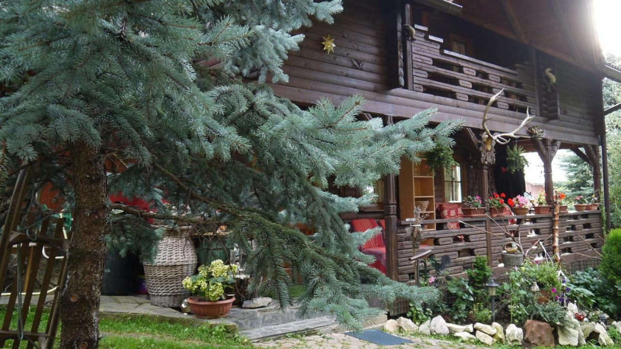 Cabana Rustic Borsa  Exterior photo