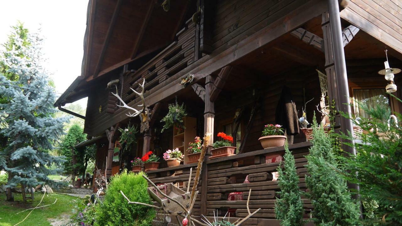 Cabana Rustic Borsa  Exterior photo